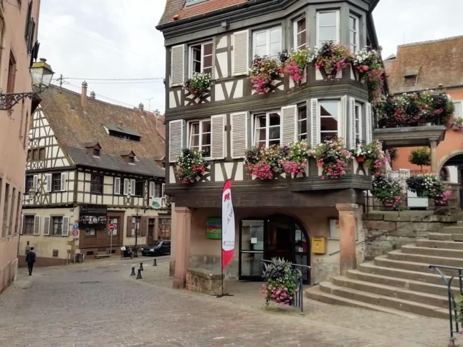Appartement Cosy - Centre De Barr - Route Des Vins 外观 照片